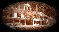 The Wayside