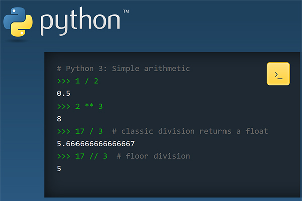 Python Logo