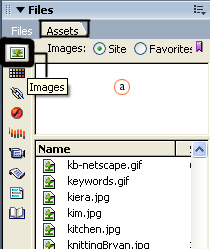 Assets panel