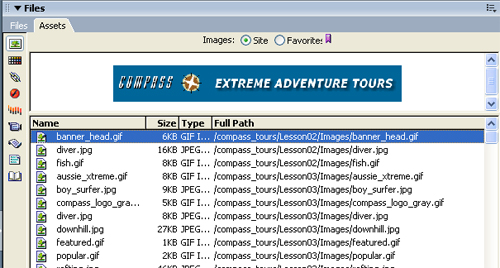 Assets Panel - Full Path window