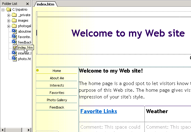 THe home page displayed in the main window