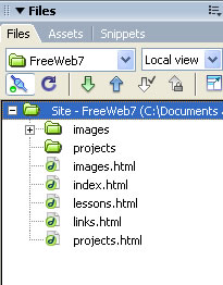 Figure 6-2a: The Files panel