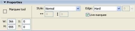 Property inspector for the Marquee tool