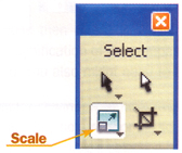 Scale tool on the Tools panel
