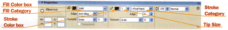 Property inspector for the Ellipse tool