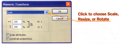 Numeric transform dialog box