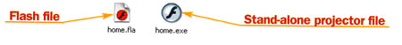 Flash projector icon