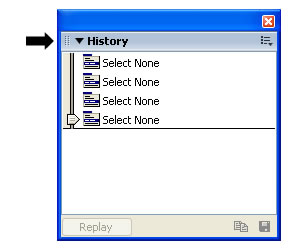 History panel