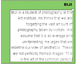 Artist's biography text box